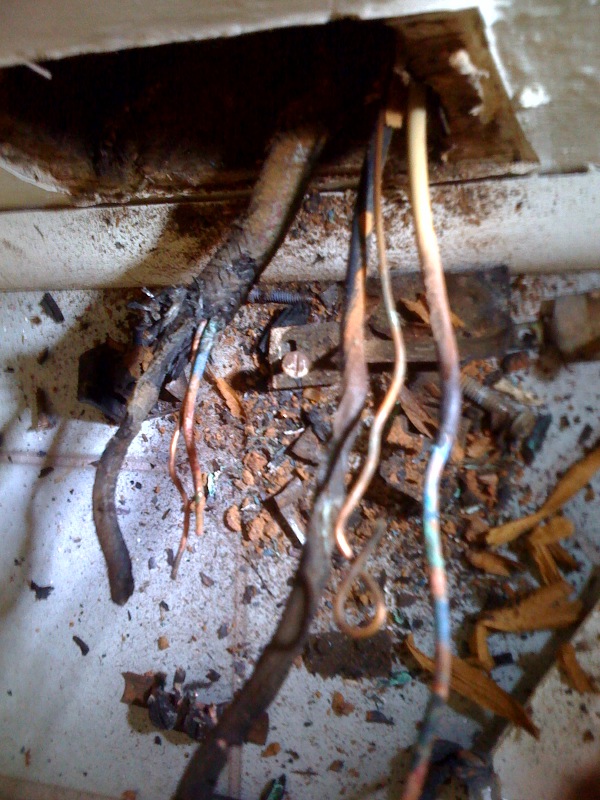 [Hearth.com] Having foam blown into walls