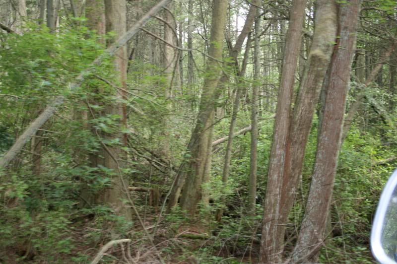 [Hearth.com] Heading to the Jersey Pines this weekend