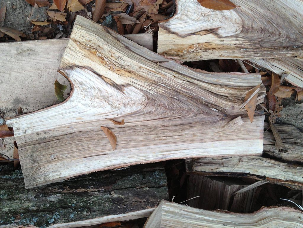 [Hearth.com] Wood ID
